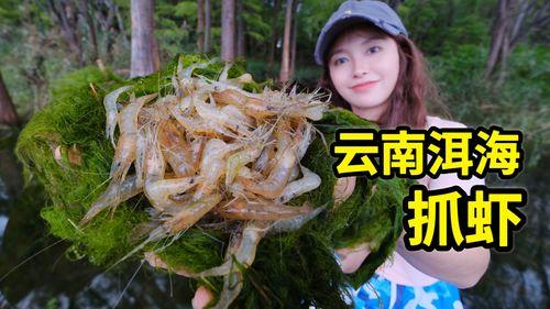 國產抓蝦視頻大全,捕捉海洋魅力，盡享視覺盛宴
